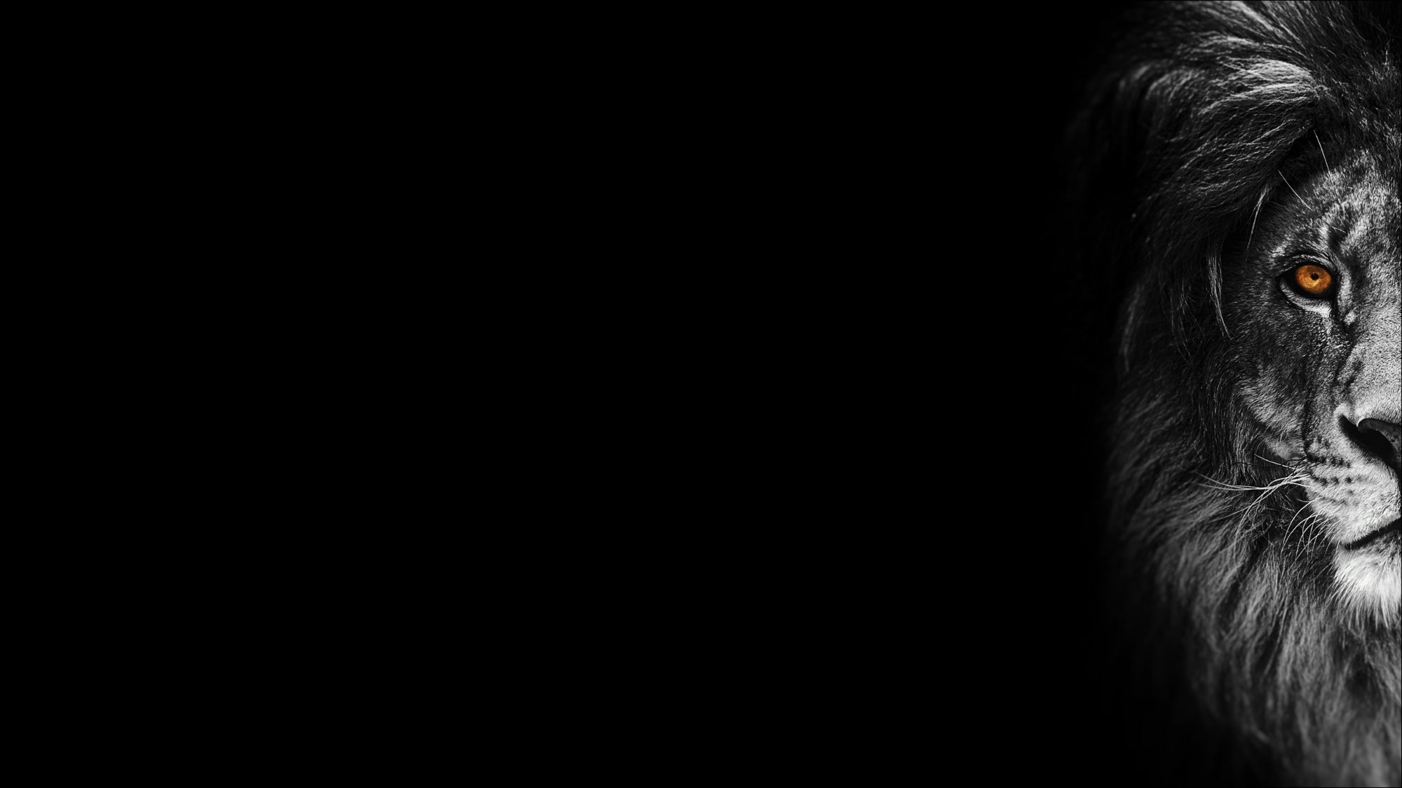 Löwe – Symbol für Stärke und Markenidentität